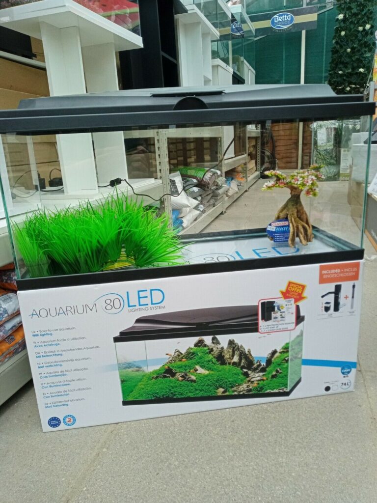 Ciano Aqua 80 in Black aquarium complete set up 74l Friendly Fish