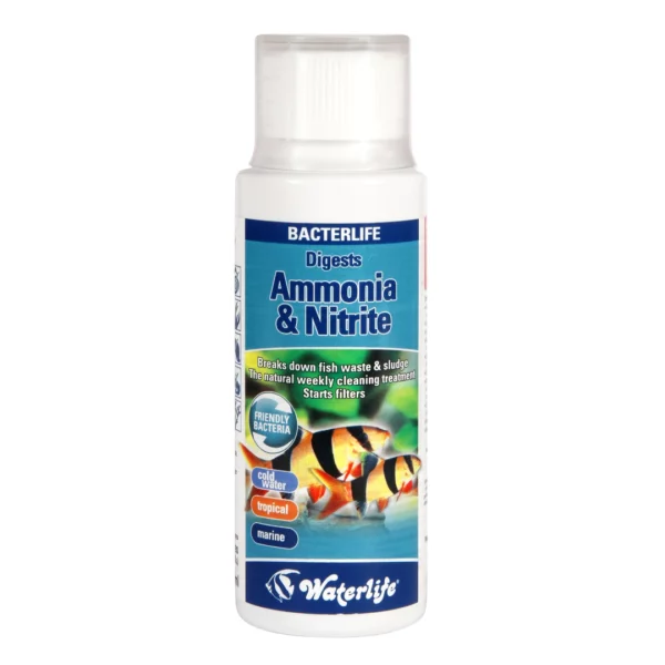 Waterlife bacterlife ammonia ans nitrite. This helps to start your filter off and removes ammonia and nitrites from your aquarium.