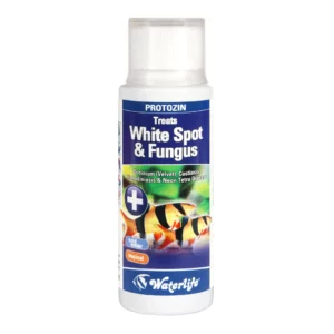 Waterlife Protozin white spot and fungus. This is a treatment for white spot, fungus, velvet, and costia in freshwater and cold water aquariums.