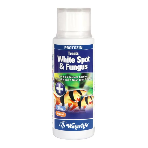 Waterlife Protozin white spot and fungus. This is a treatment for white spot, fungus, velvet, and costia in freshwater and cold water aquariums.