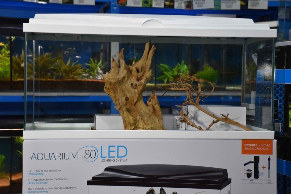 Ciano Aqua 80 In White Aquarium Complete Set Up 74l Friendly Fish 