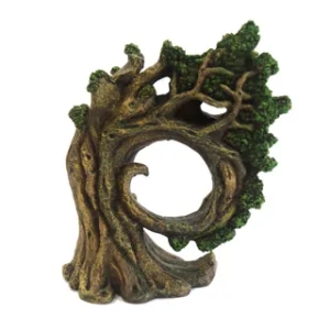 Betta Curled Trunk product